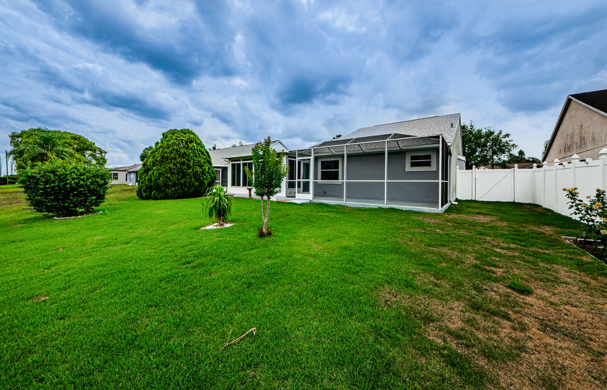 Backyard 5