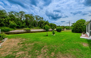 Backyard 1