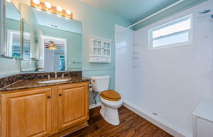 Master Bathroom 1a