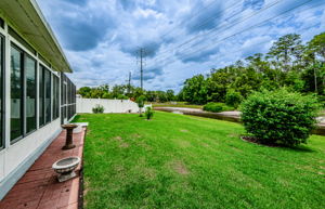 Backyard 2