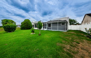 Backyard 5