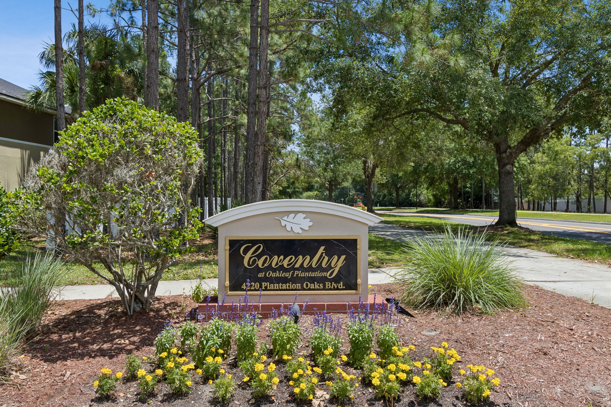 Coventry at Oakleaf Plantation