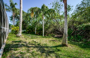 Backyard 1