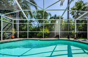 Pool 4