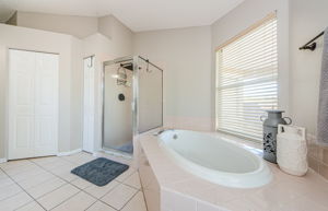 Upper Level Master Bathroom 1d