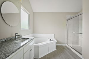 Master Jacuzzi Tub