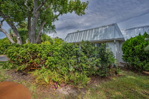Backyard2