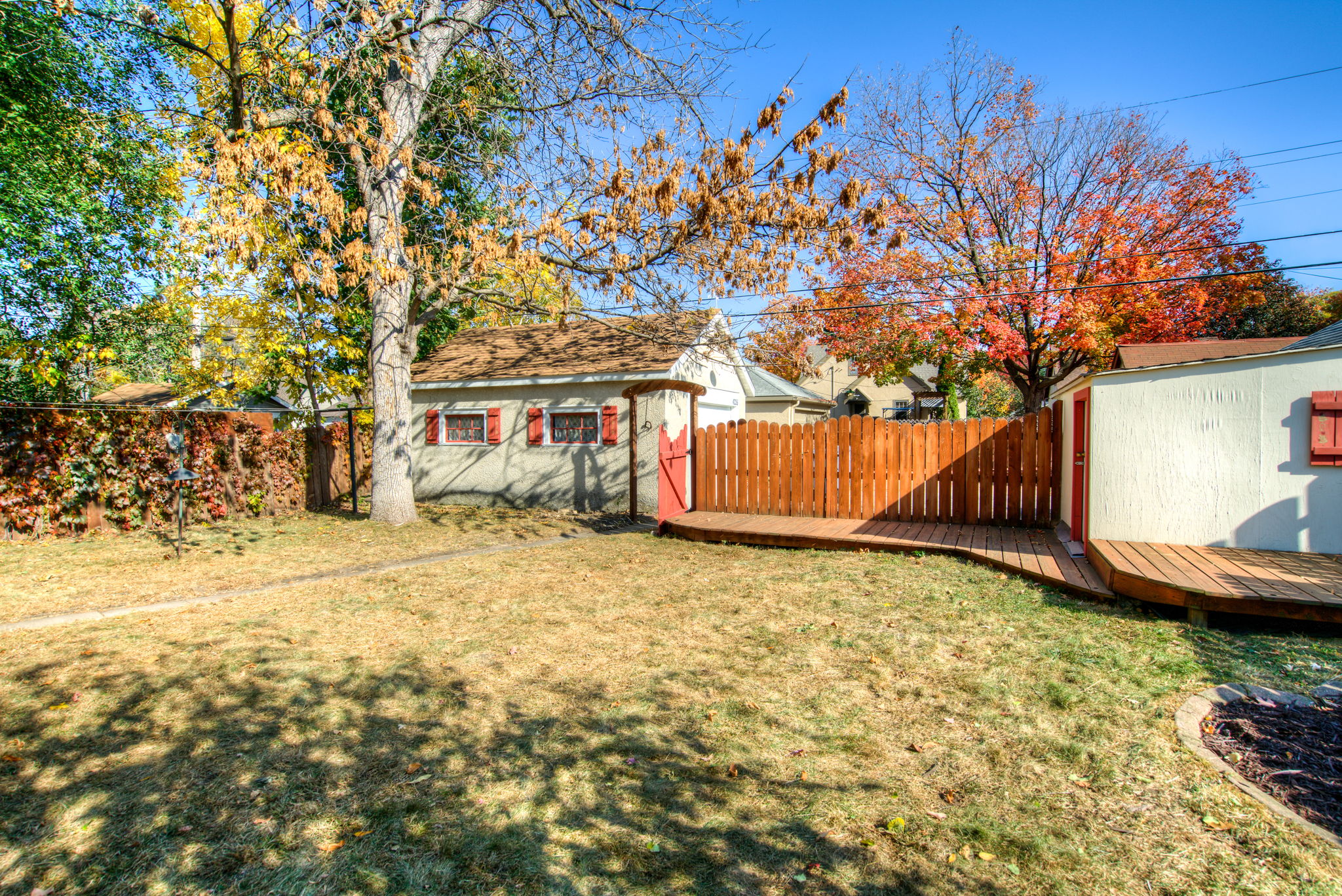 20 Backyard