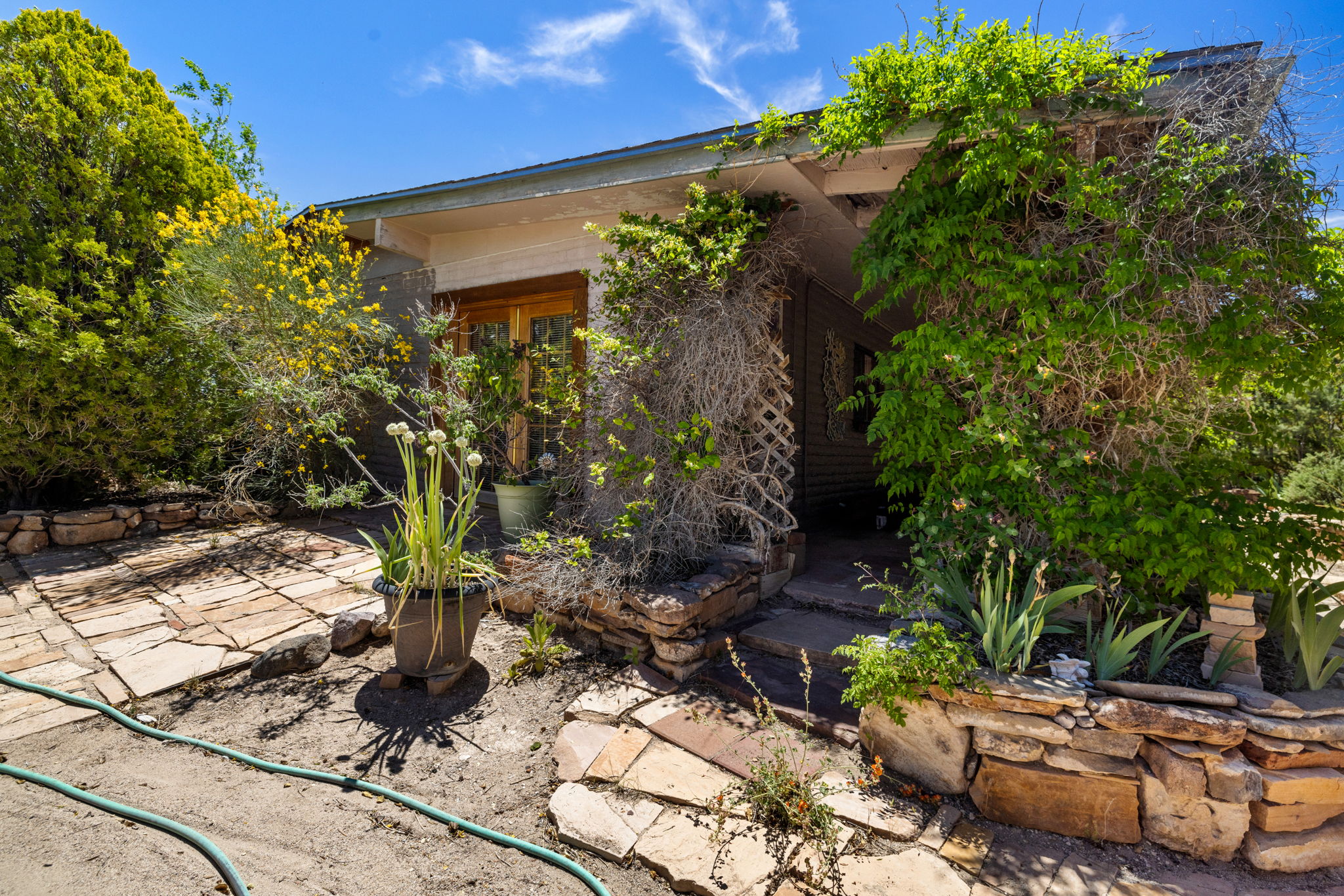 Back Patio