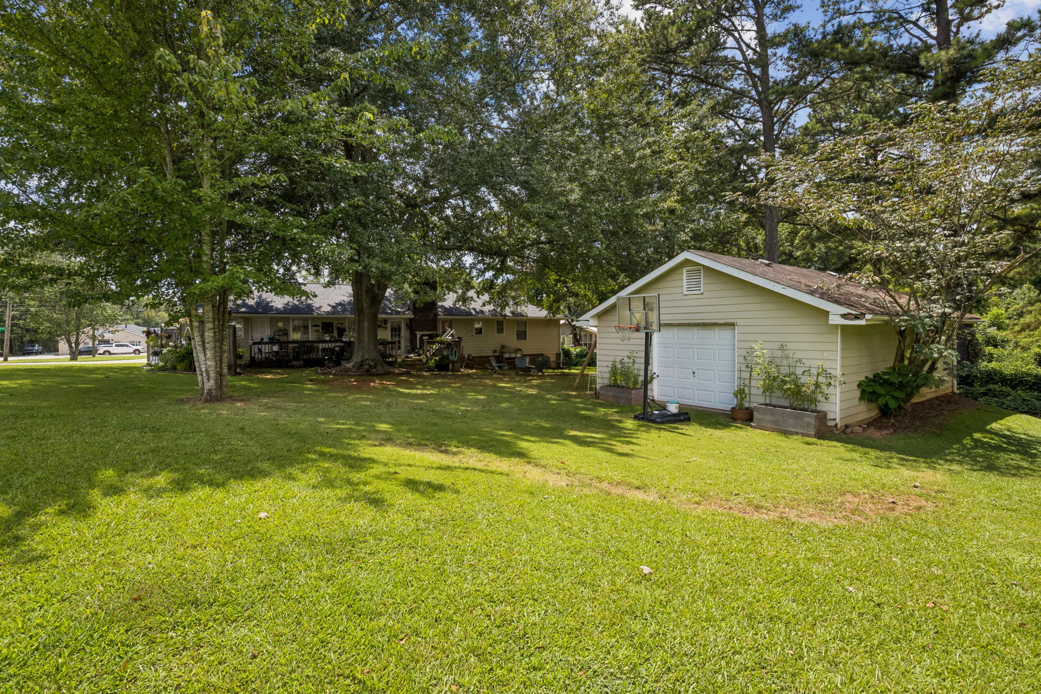 Backyard