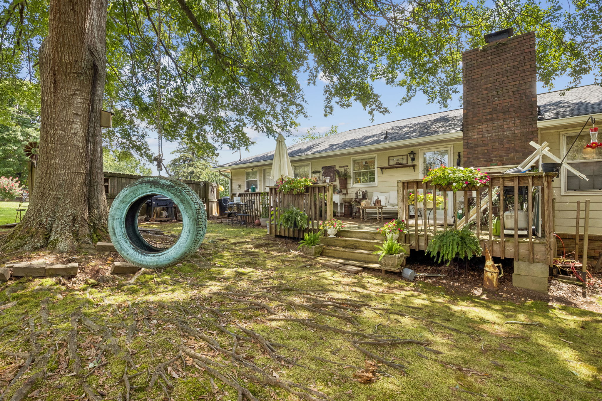 Backyard