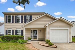 4233 Blazingwood Ct-1