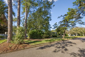 Large Corner Lot