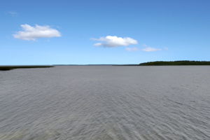  Photo 39