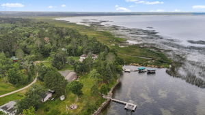  Photo 50