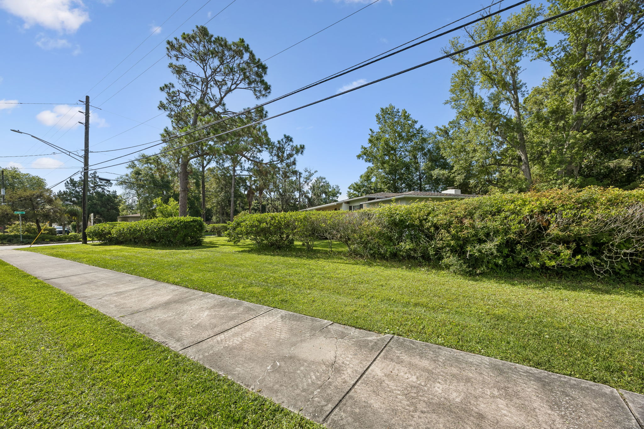 Front Yard
