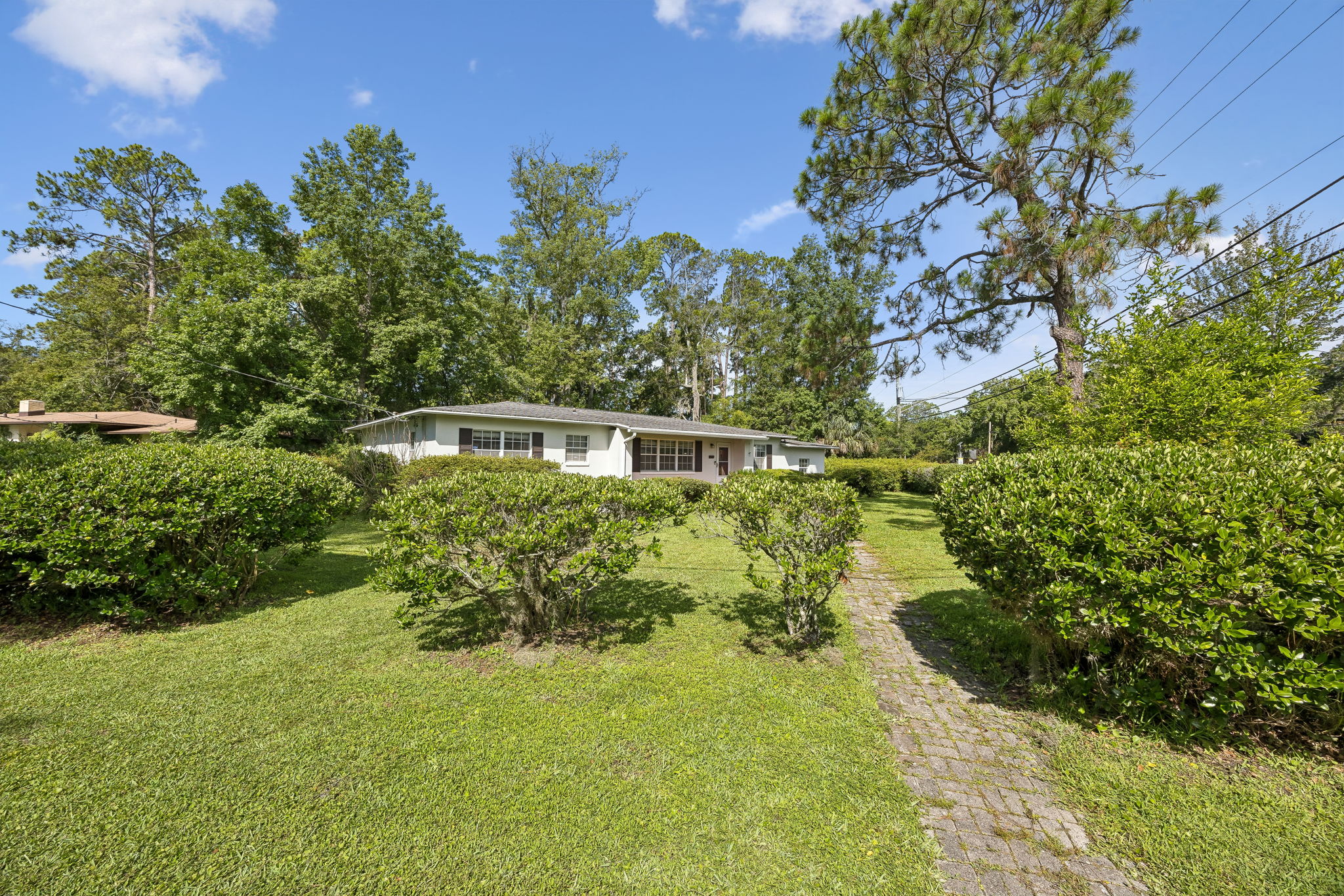 Front Yard