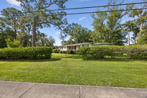 Front Yard