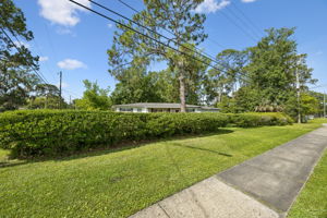 Front Yard