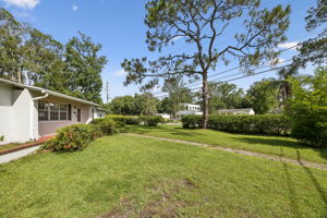Front Yard