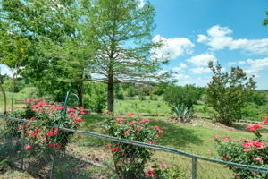 View from House