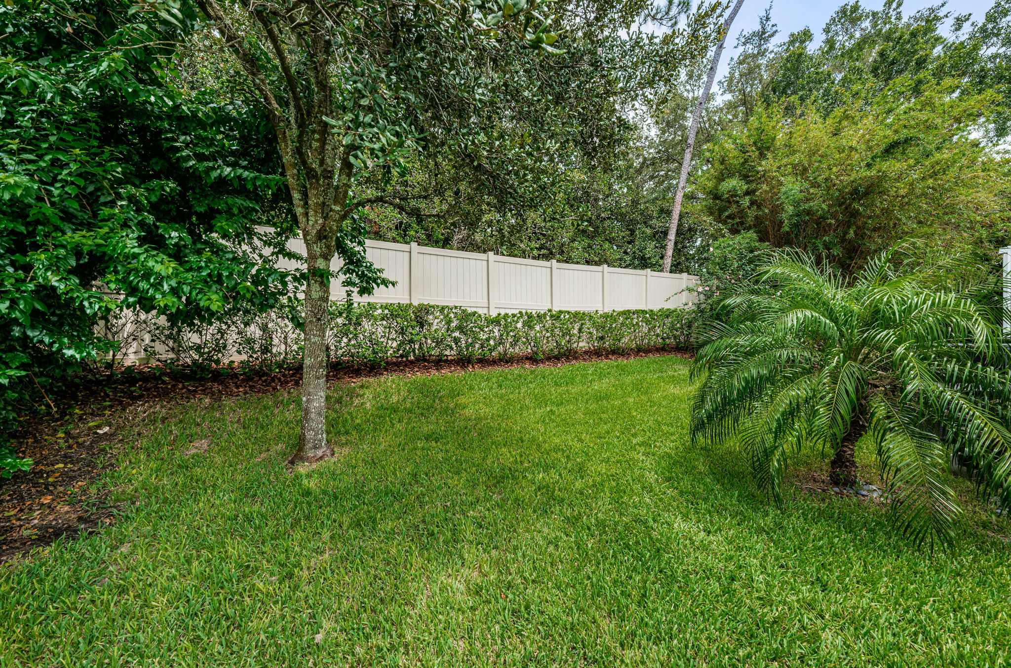 Backyard3-2