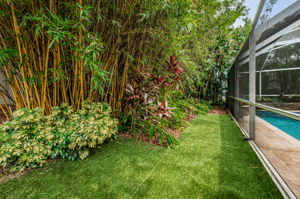 Backyard1-2