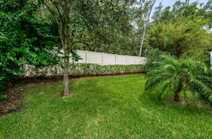 Backyard3-2