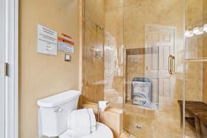 Downstairs Bath - Steam Shower 2