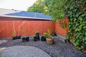  Photo 39