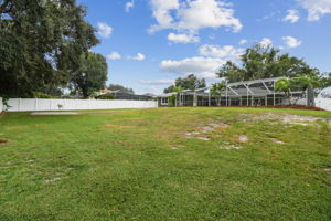 Back yard