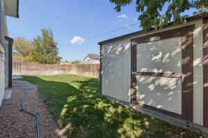Shed