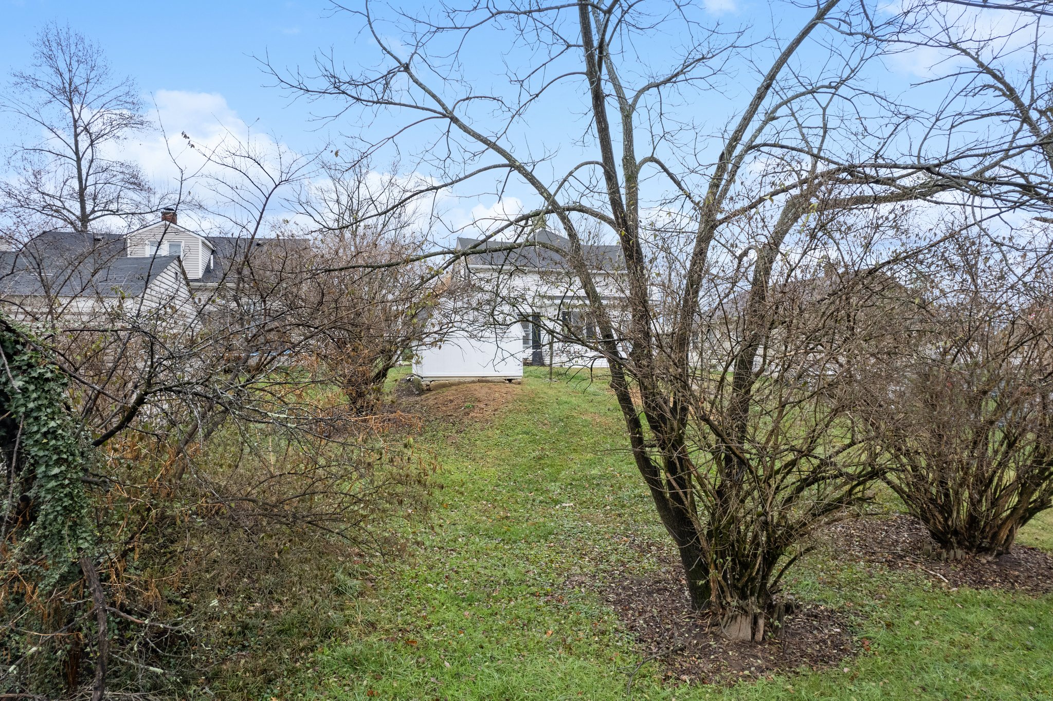 Photo 47