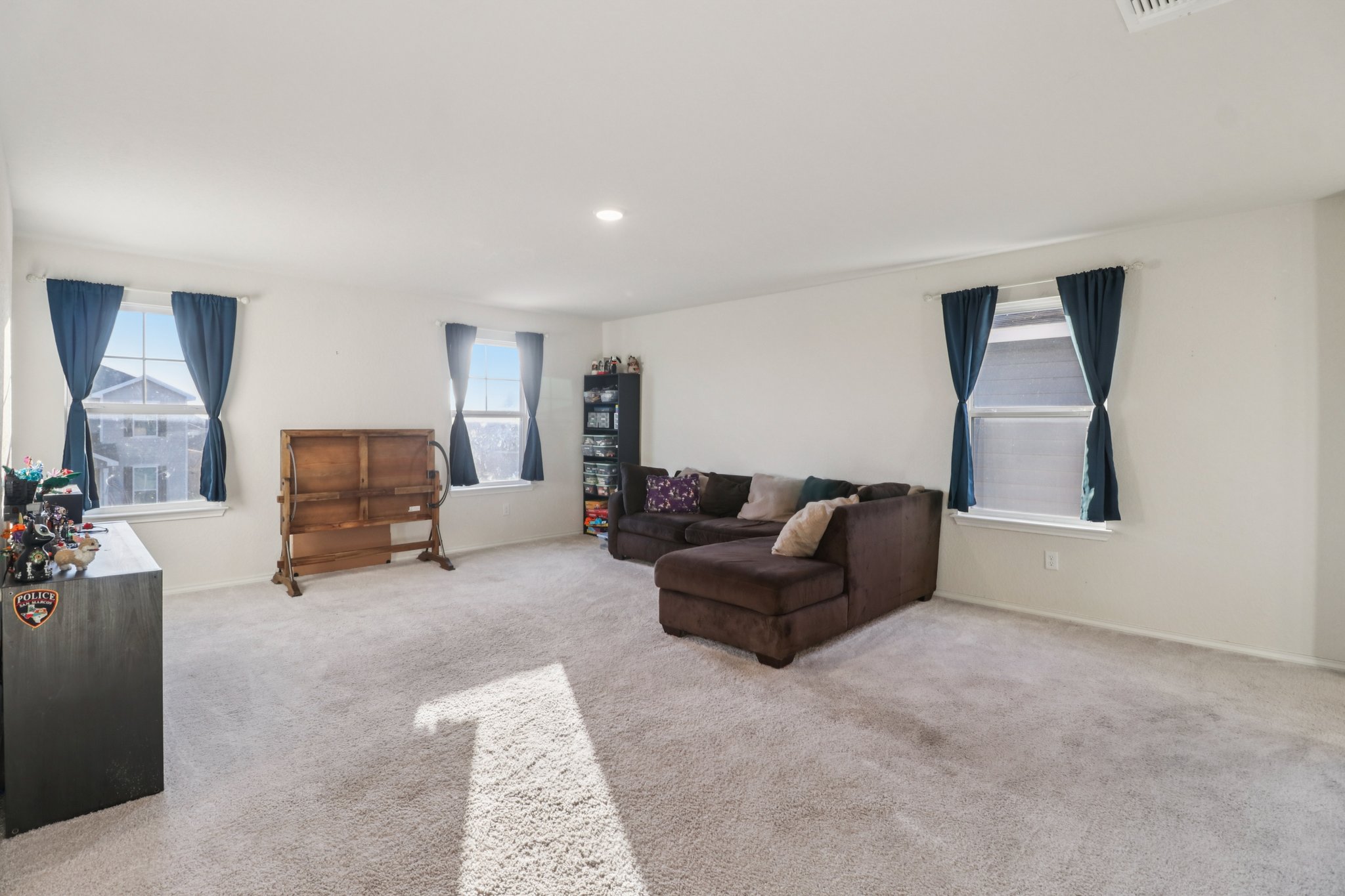 Sand Cherry-S1410-023.jpg