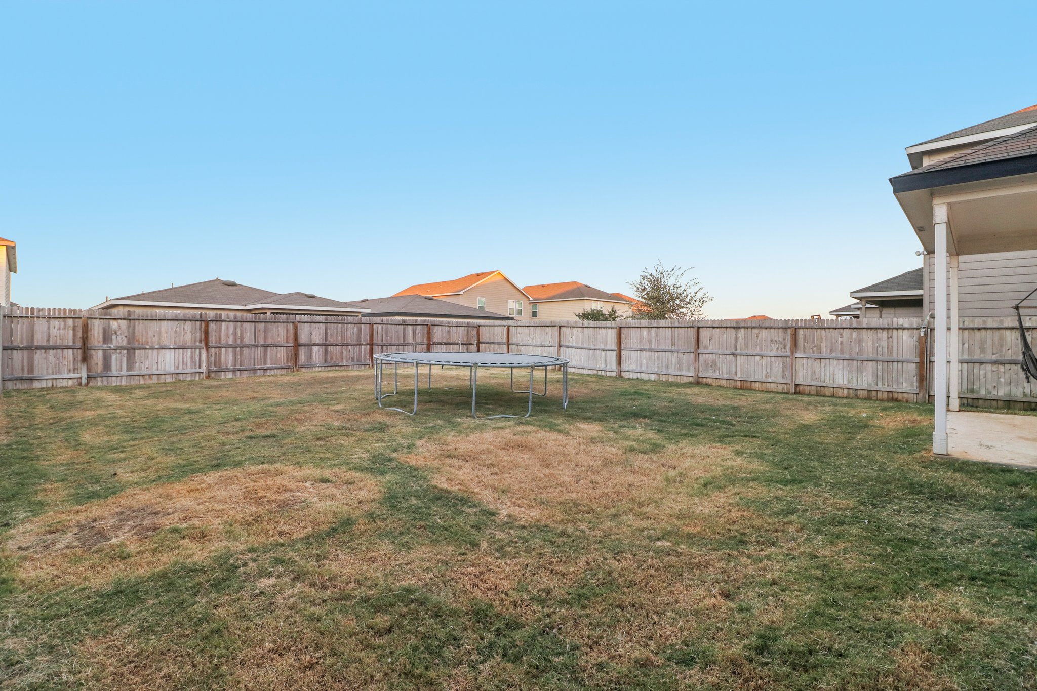 Sand Cherry-S1410-028.jpg