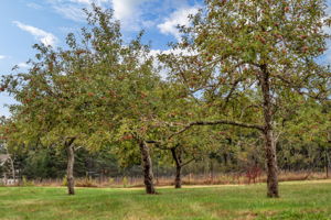  Photo 0