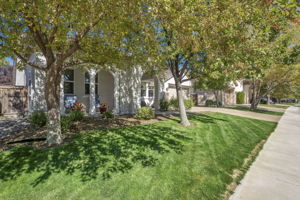  Photo 0