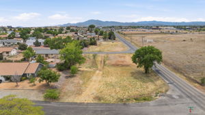 Aerial (1)