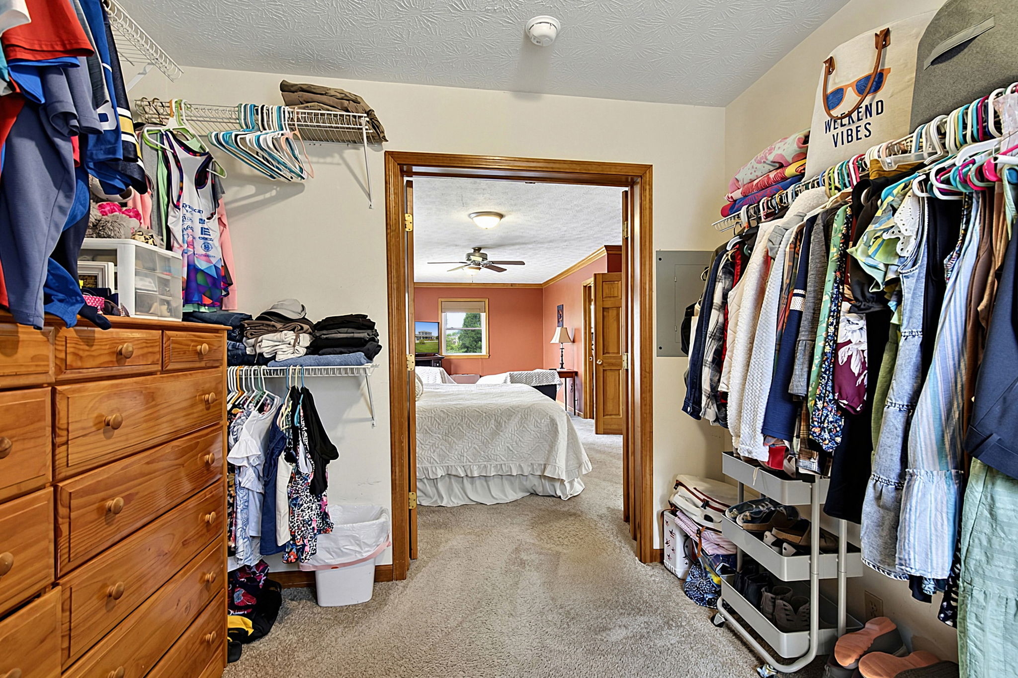  Photo 47