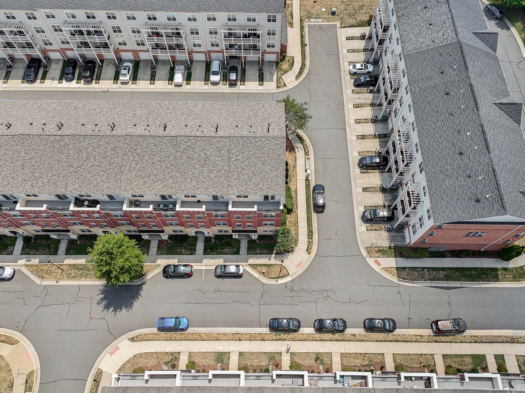 Hollyhock Terrace-066.jpg