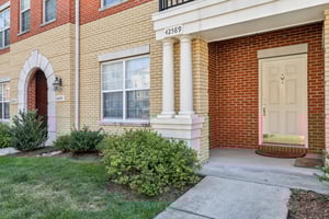 Hollyhock Terrace-006.jpg