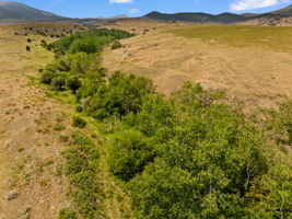  Photo 50