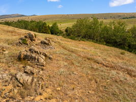  Photo 65