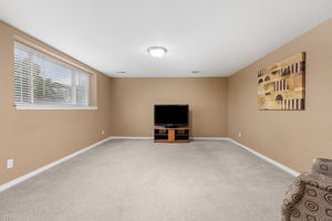 Lower Level Family Room