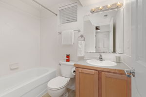 Lower Level Bath