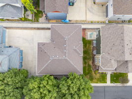 Mature Trees Offer Privacy