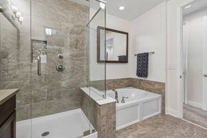 Walk in Shower & Garden Tub