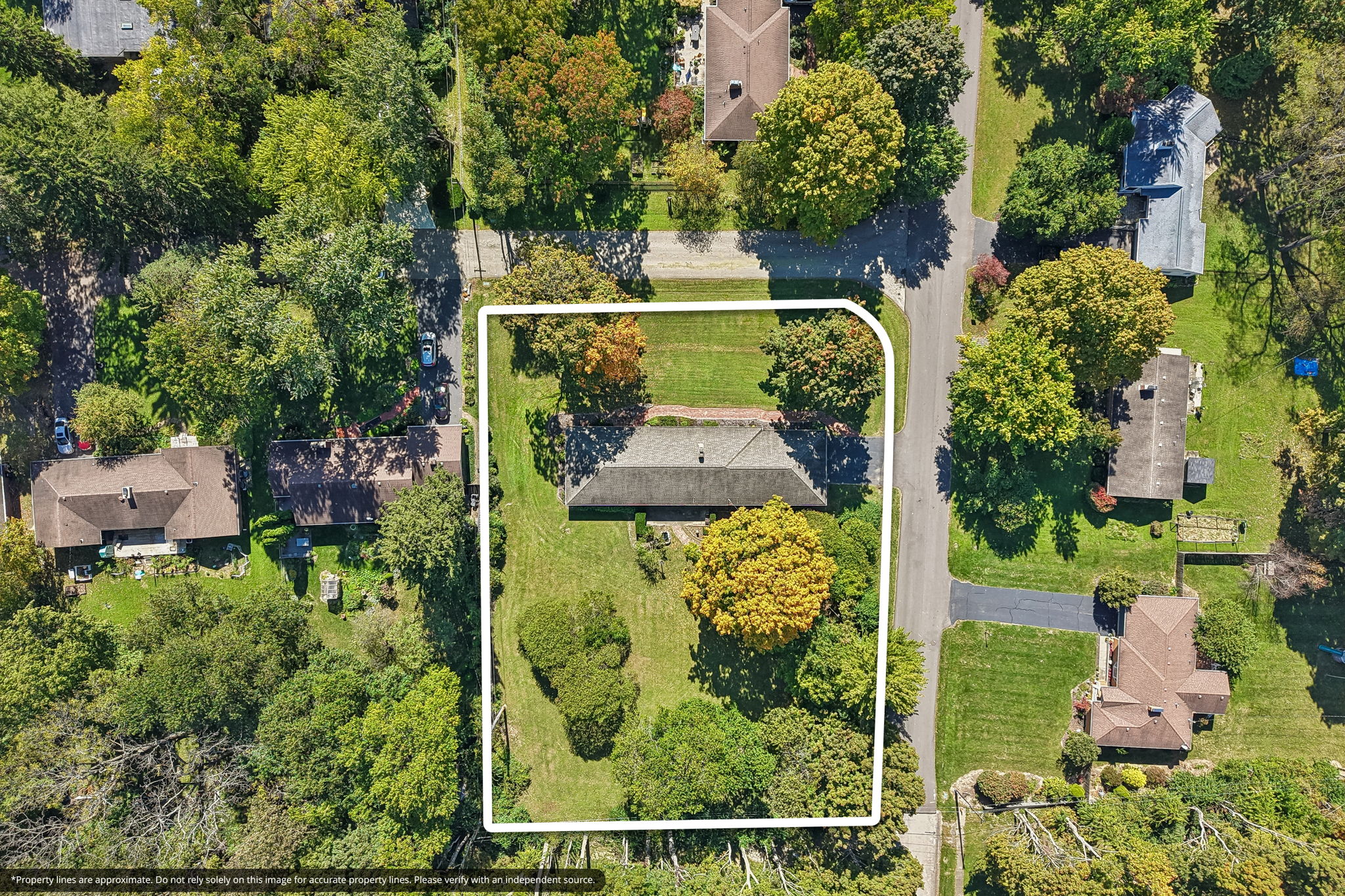 6-print-Wood Acre Dr-S0810-006-property_lines