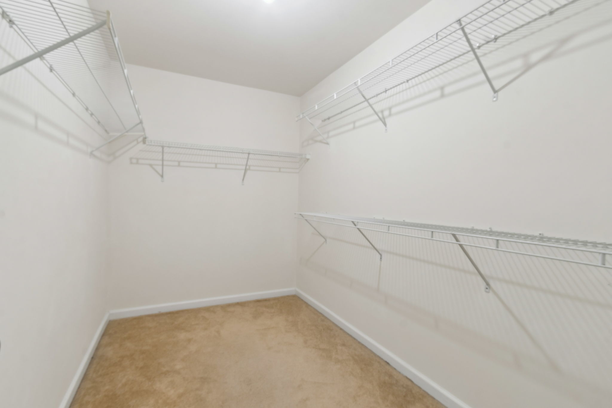 Primary Bedroom Closet
