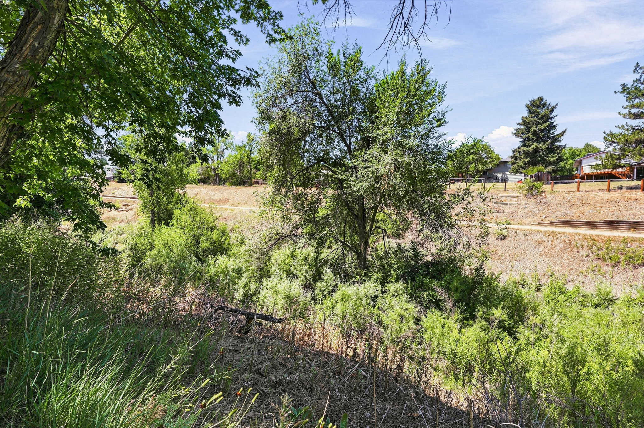  Photo 47